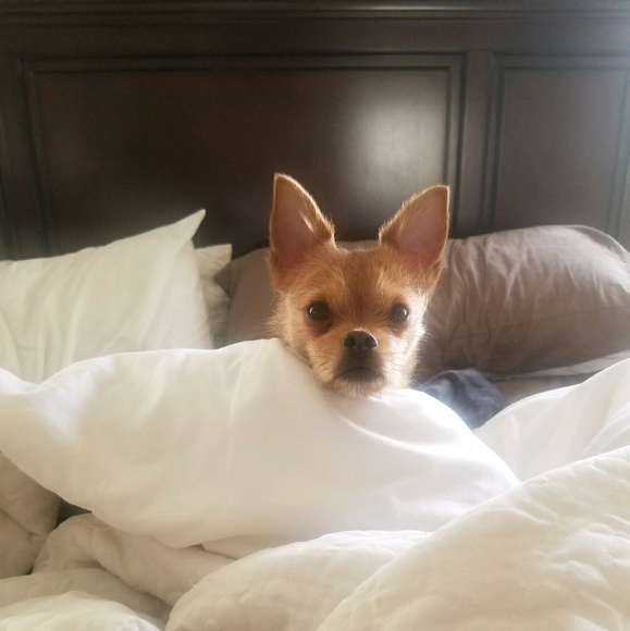 Meet your Posher, Jan - Picture 1 of 1